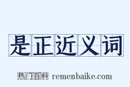 是正近义词是什么意思的图片